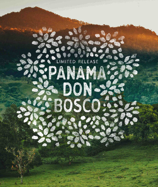 Panama Don Bosco logo with a scenic background of mountains and trees.
