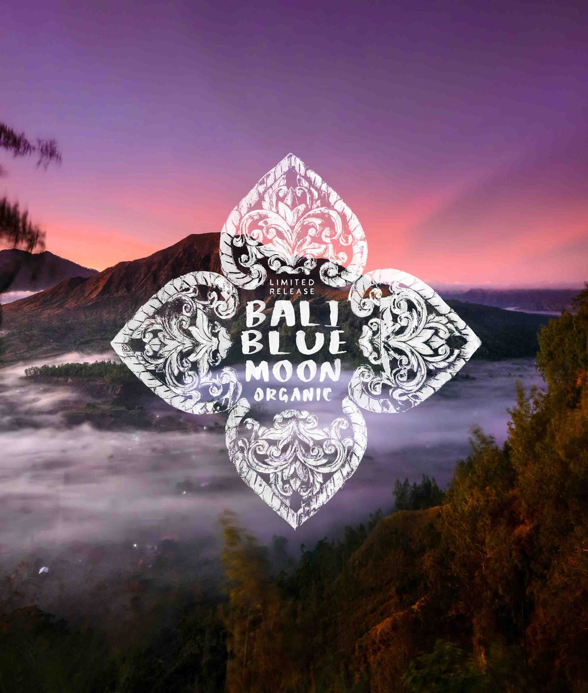 Logo of Bali Blue Moon Organic with a scenic background of mountains and mist.