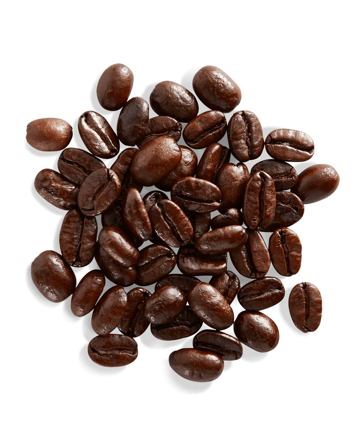 Peet's Aged Sumatra Coffee beans shown up close with detail